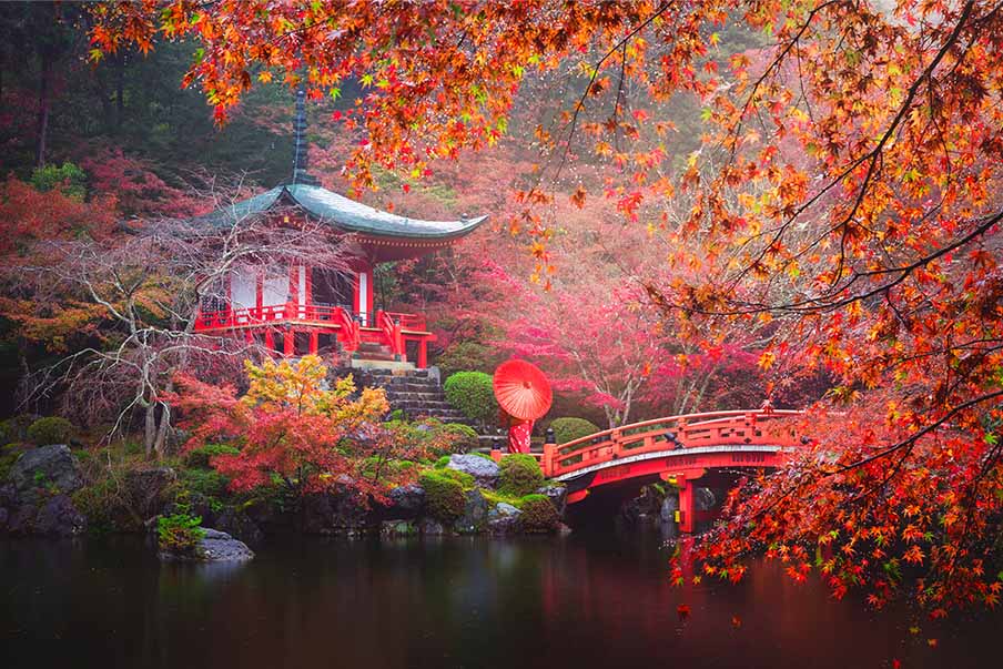 japon automne
